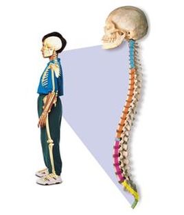 adjusting techniques chirocure stkilda